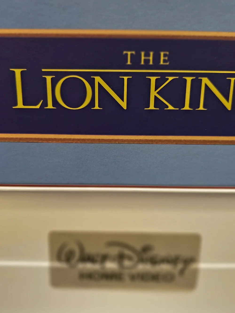 Disney Lion King Plush Throw Blanket - Blue, Green, Red, Yellow